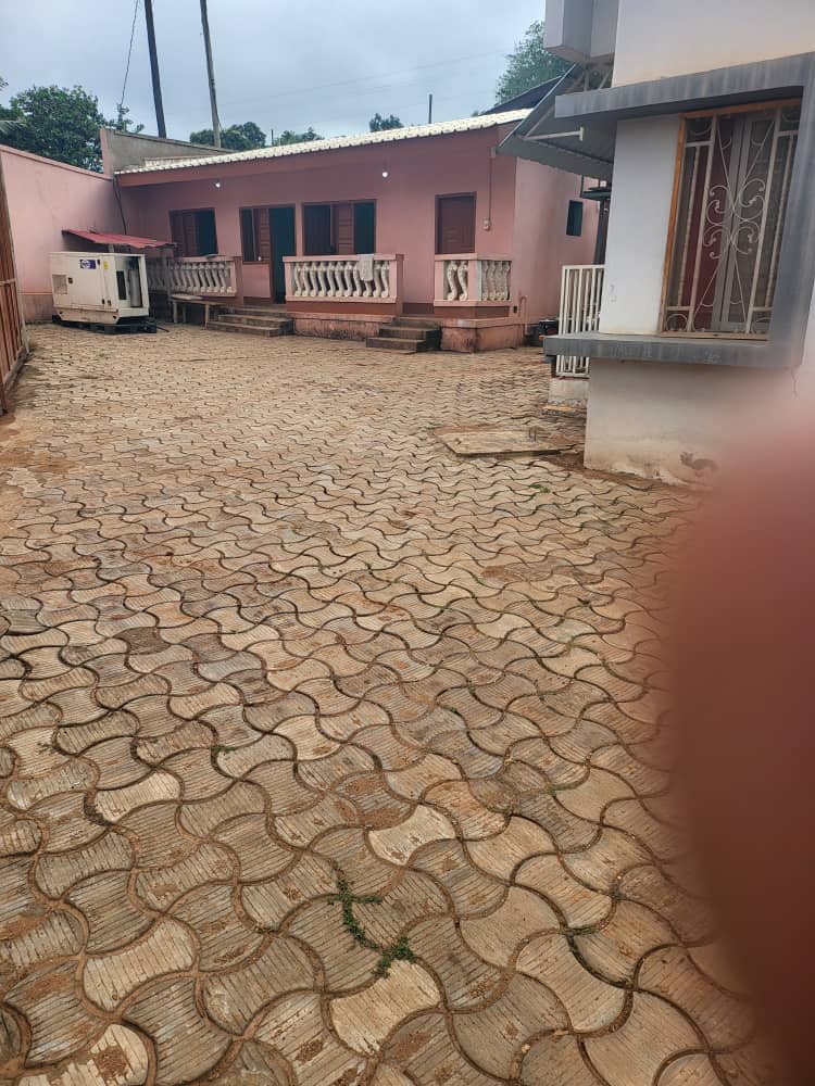 meublé 2 chambres à Bangui – secteur Camp Fidèle / Obrou photo 15