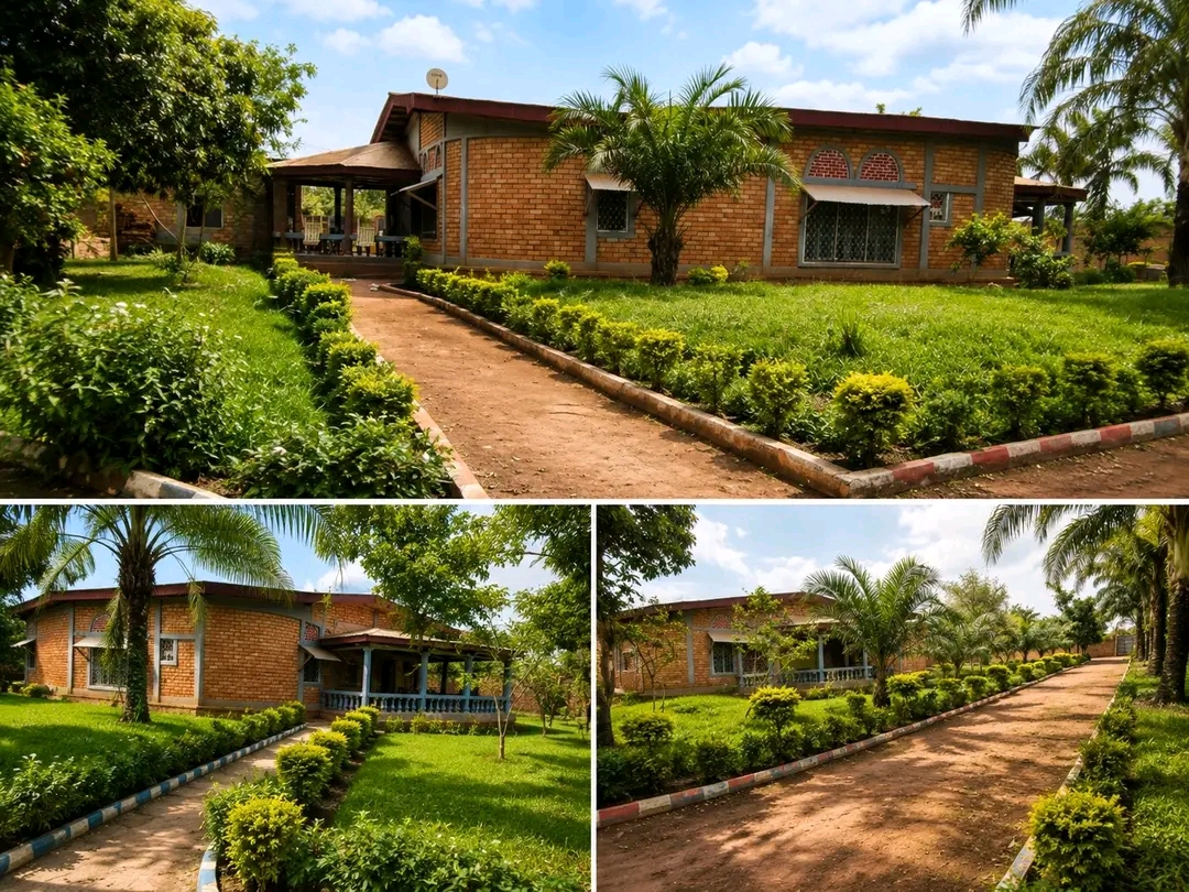Le confort a trouvé son adresse à Damala. photo 2